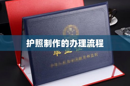 耿马护照制作的办理流程